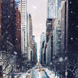 Time Square winter wallpaper