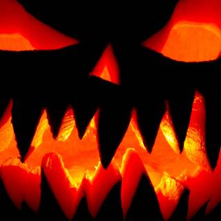 Halloween 1440x2560 wallpaper