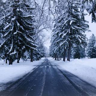 Winter 1680x1050 wallpaper