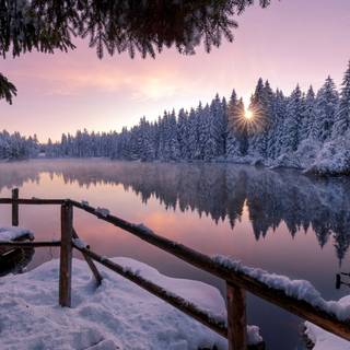 Winter 1680x1050 wallpaper