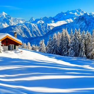 Winter 1680x1050 wallpaper