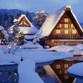 Winter 1680x1050 wallpaper