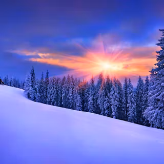 Winter 1680x1050 wallpaper