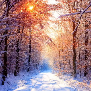 Winter 1680x1050 wallpaper