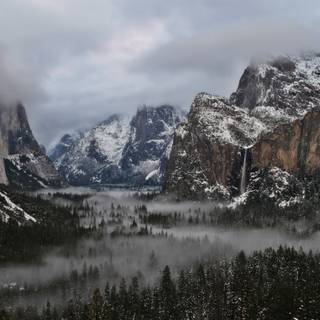 Winter 1680x1050 wallpaper