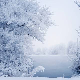 Winter 1680x1050 wallpaper