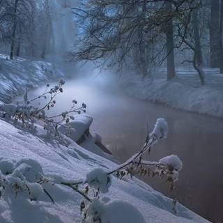 Winter 1680x1050 wallpaper