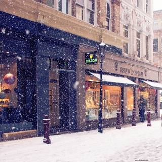 Winter 1680x1050 wallpaper