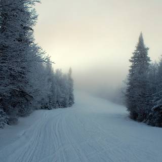 Winter 1680x1050 wallpaper