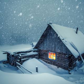 Winter 1680x1050 wallpaper