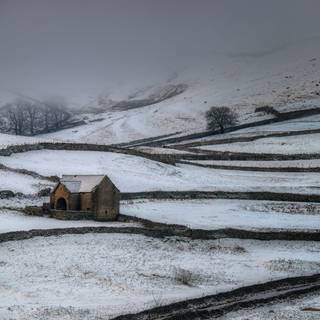 Winter 1680x1050 wallpaper