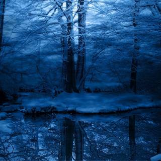 Winter 1680x1050 wallpaper