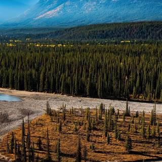 River iPhone 4k wallpaper