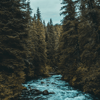 River iPhone 4k wallpaper