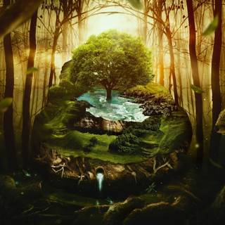 Jungle 4k desktop wallpaper