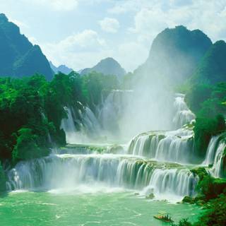 Jungle 4k desktop wallpaper