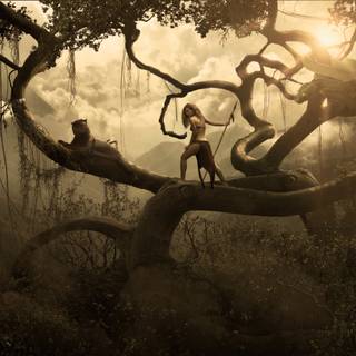 Jungle 4k desktop wallpaper