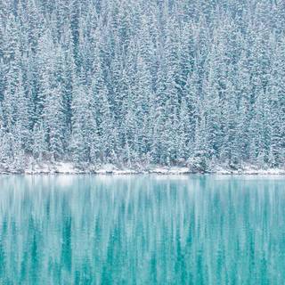 River iPhone 4k wallpaper