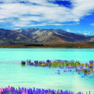 River iPhone 4k wallpaper