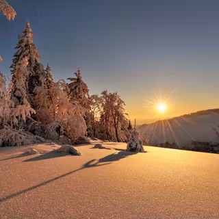 Winter 1440x900 wallpaper