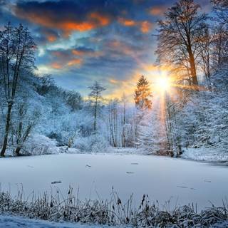 Winter 1440x900 wallpaper