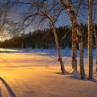 Winter 1440x900 wallpaper