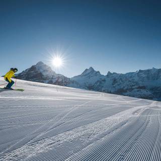 Winter 1920x1600 wallpaper