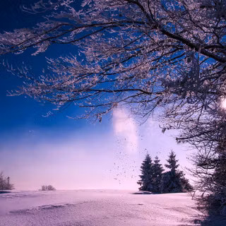 Winter 1440x900 wallpaper