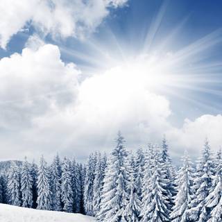 Winter 1440x900 wallpaper