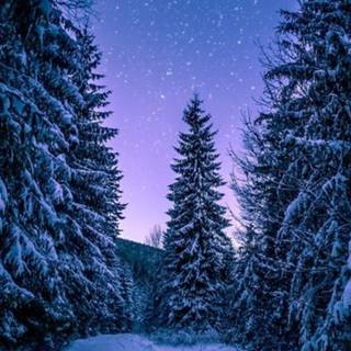 Winter sky phone wallpaper