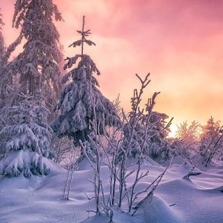 Winter sky phone wallpaper