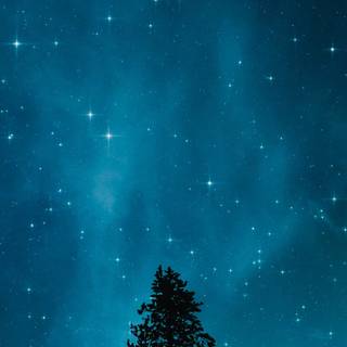 Winter sky phone wallpaper