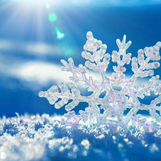 Winter 1440x900 wallpaper