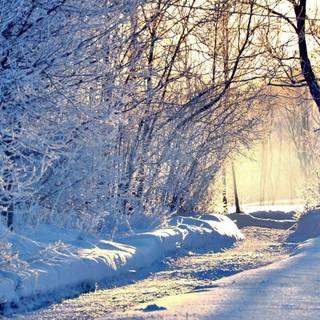 Winter 1440x900 wallpaper