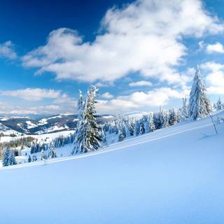 Winter 1440x900 wallpaper