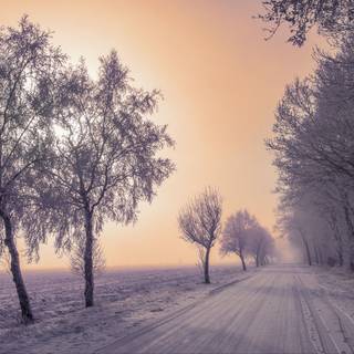 Winter 1440x900 wallpaper