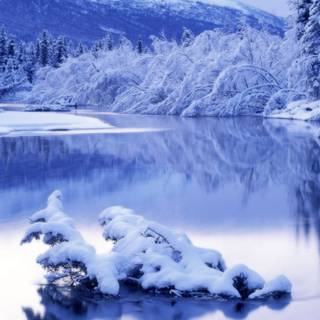 Winter 1440x900 wallpaper