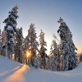 Winter 1440x900 wallpaper