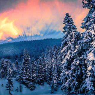 Winter 1440x900 wallpaper