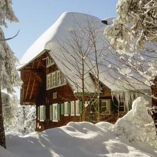 Winter 1440x900 wallpaper