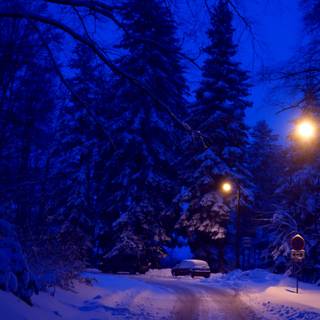 Winter 1440x900 wallpaper