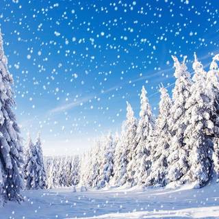 Winter 1440x900 wallpaper