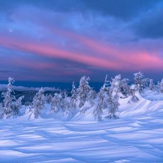 Winter 1440x900 wallpaper