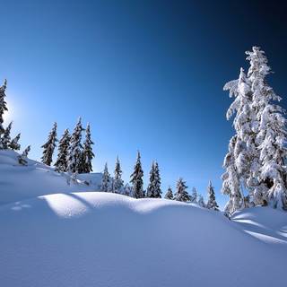 Winter 1440x900 wallpaper