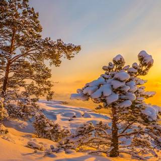 Winter 1440x900 wallpaper