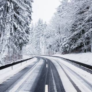 iPhone 14 Pro winter wallpaper