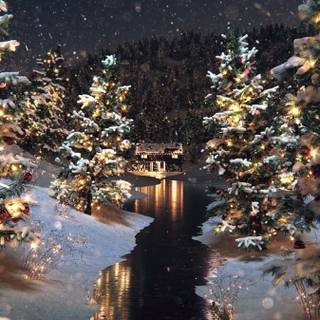 iPhone 14 Pro winter wallpaper