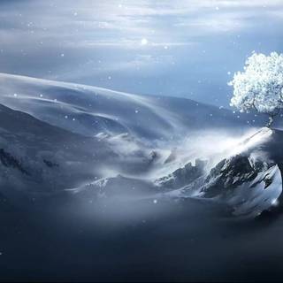 Anime winter tree wallpaper
