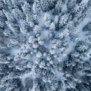 Aesthetic winter iPad wallpaper