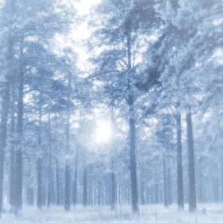 Anime winter PC wallpaper